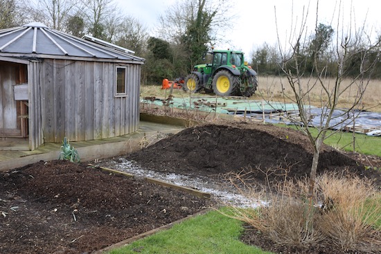 Jack topping the old grass