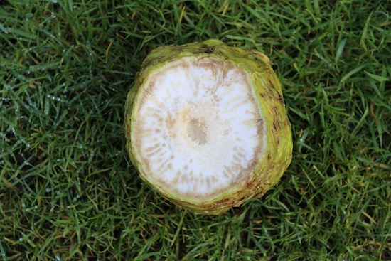 Some disease perhaps