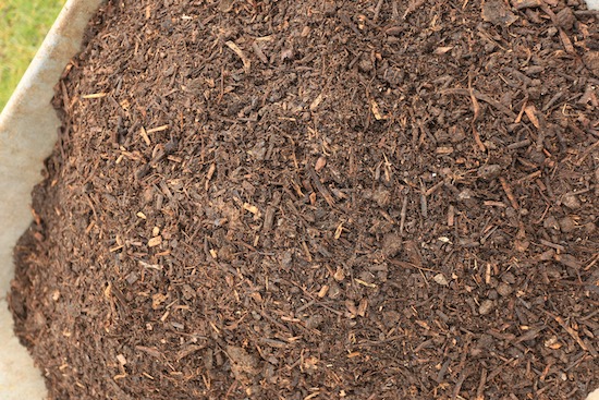 Homeacres compost after I sieve it