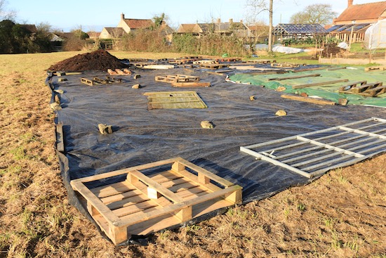 Sheets of plastic keep it dark on weeds