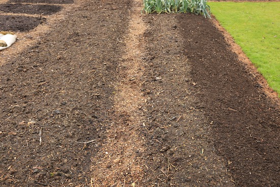 Mulch of home-made compost after taking the final harvest