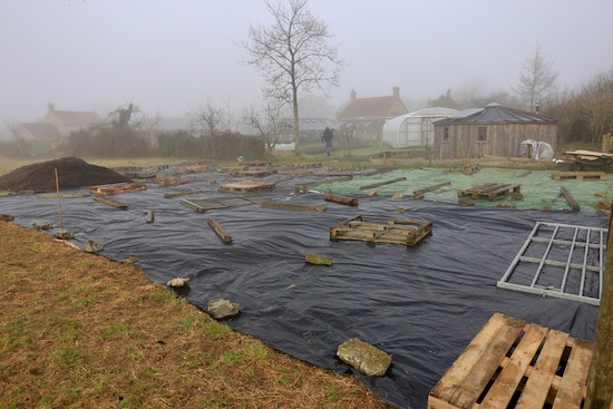 After adding these mulches we replaced the polythene