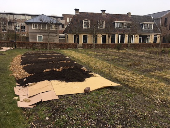 Starting a new garden the first steps in Friesland