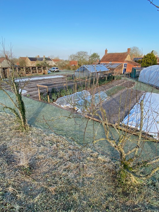 Homeacres on a frosty morning, 7th March