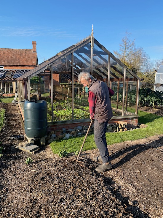 Charles raking the surface lightly to prepare for plantings