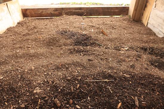 Finished heap of compost