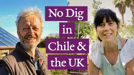 Video thumbnail Wini Walbaum Chile