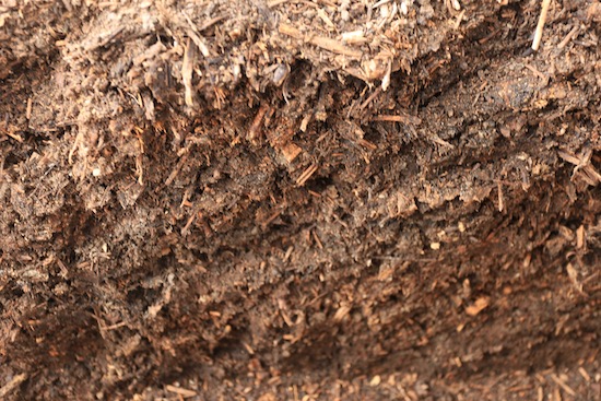 Homemade 9 month old compost