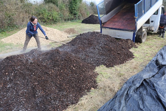 Mulch of old wood chip still warm