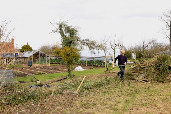 After cutting and removing the brambles and fence panels