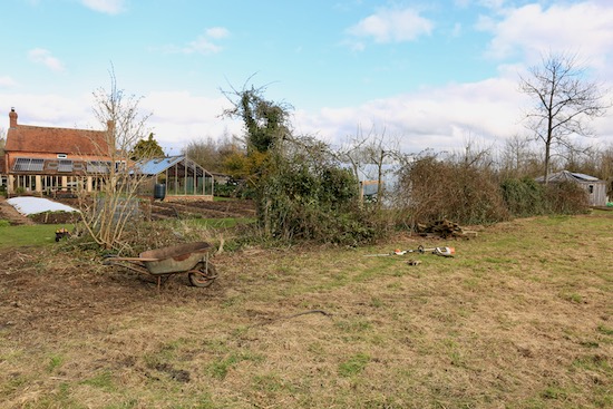 Before last clearing