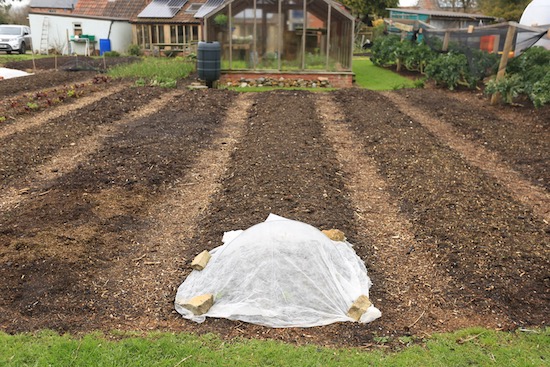 No dig beds and paths ready for spring