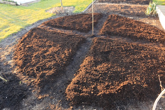 New herb garden is ready