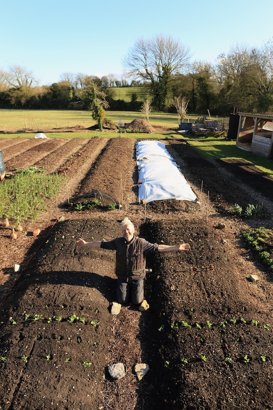 New plantings mid March on trial beds