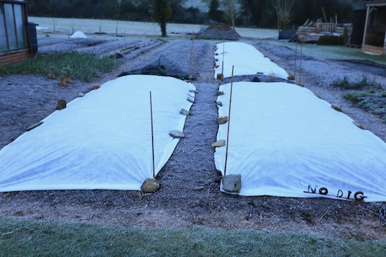 2 The following night there was a -2C 28F frost