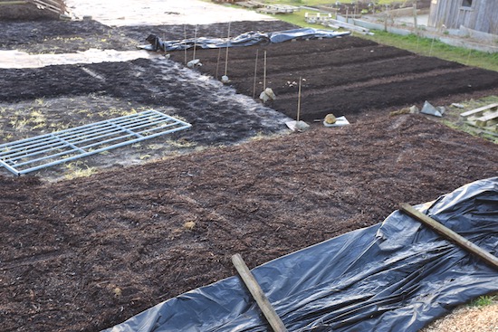 A mix of mulches includes a bed covered with old woodchip