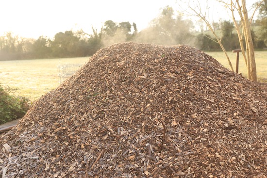 Ideal ingredients for a bioreactor, fresh wood