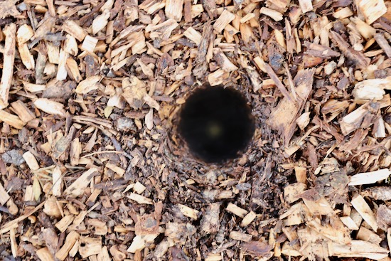 Air hole after removing a pipe