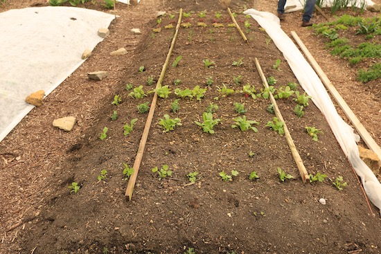 Battens serve to elevate the cover a little