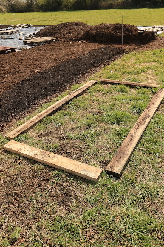 Layout of the new bed with temporary wooden sides on the grass and weeds