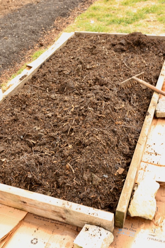 Bed filled with four wheelbarrows own compost