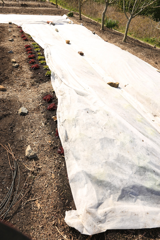 Preparing to remove fleece cover