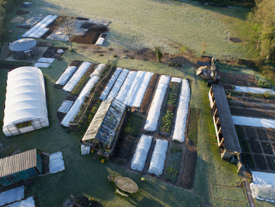 Drone view shows most beds covered in April