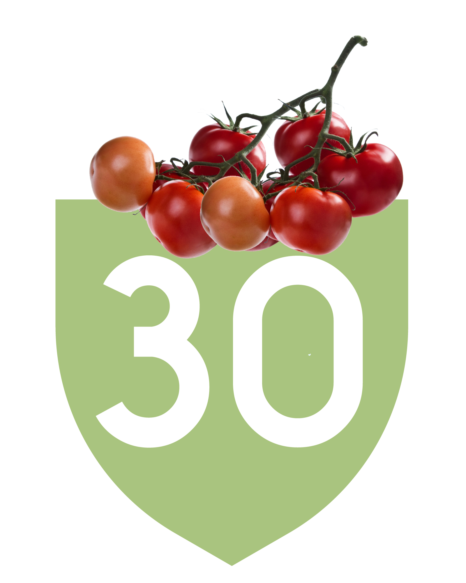 How to grow tomatoes lesson