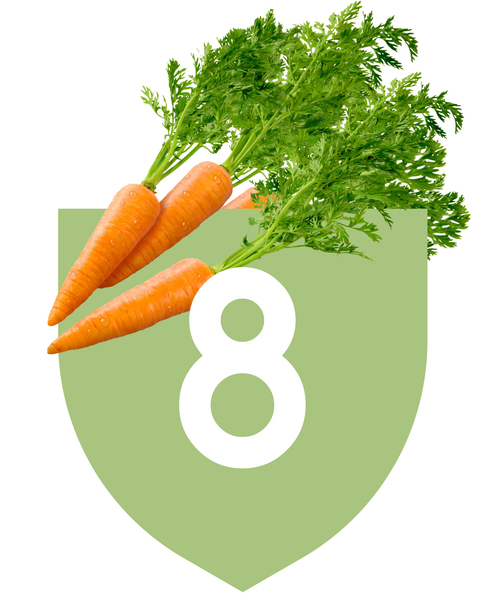 Carrot lesson of online course 3