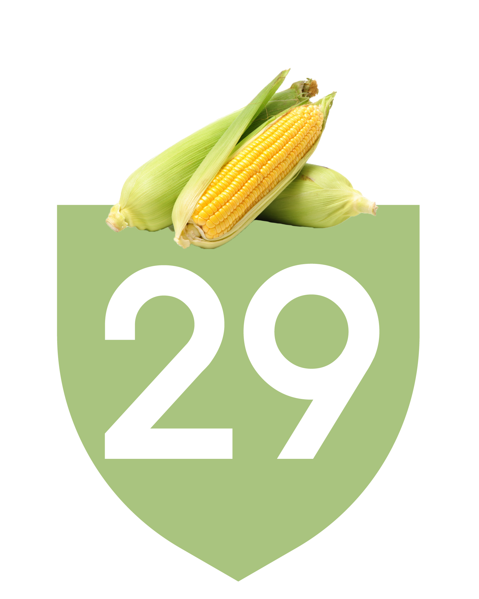 How to grow sweetcorn, melon, capsicum