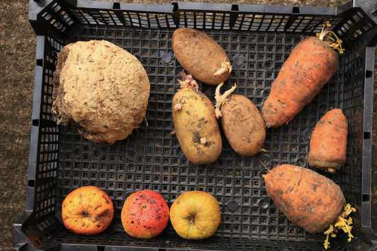 From store, on 28th April apples, celeriac, Charlotte potato & Oxhella carrots