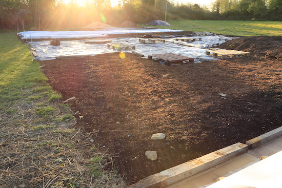 The new area on 25th April, where there is now a lot of bindweed