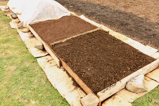 Homemade compost closest and wood chip in further half to same depth