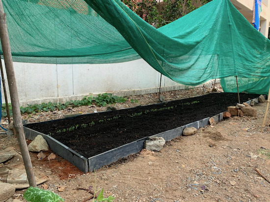 Shade cover helps in the hot climate