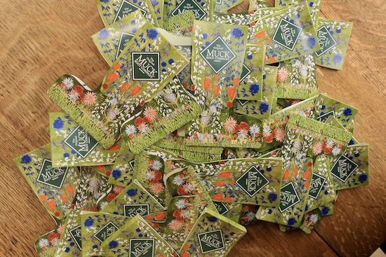 Muck Boots kindly gave us some wildflower seeds