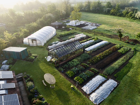 No dig garden from the drone 26th May