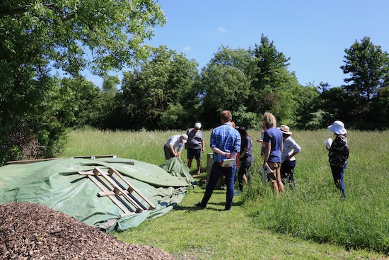 No dig Course day. Checking the growth of bindweed under plastic