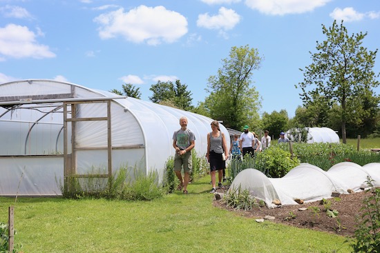No dig Course day. Walking down to lunch