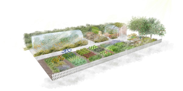 What the RHS no dig show garden will look like