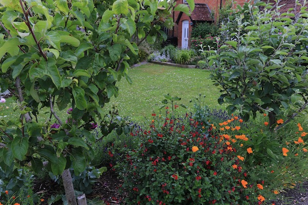 No dig flower garden at Homeacres