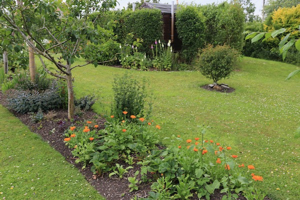 No dig flower garden at Homeacres in June