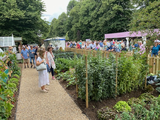 Hampton Court Show July 2021, no dig garden view