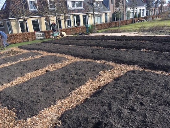 Beds and paths prepared, no dig