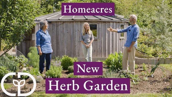 Herb garden June, video thumbnail