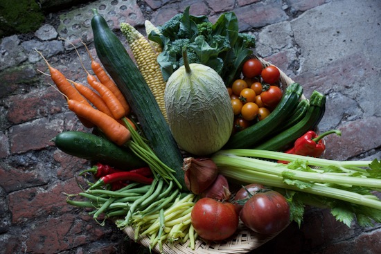 Late summer vegetable harvest