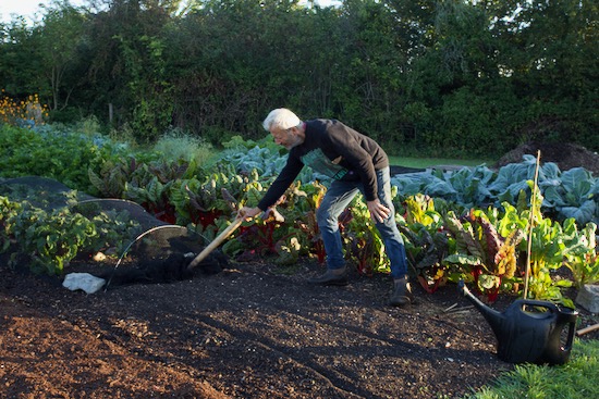 Charles marking row lines with a long handled dibber