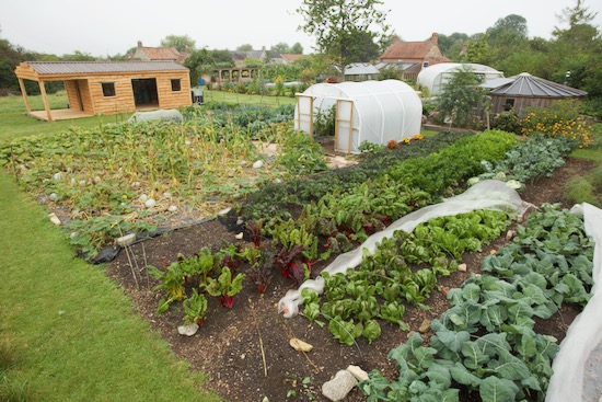 Six months later in early September