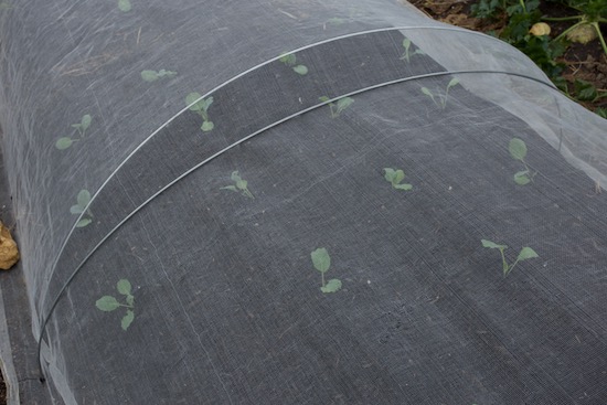 Skills - securing a cover with an extra wire on top