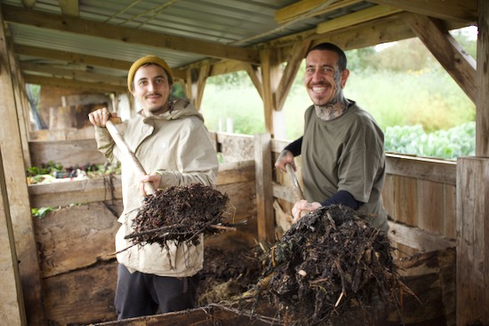 Mitch and Alessandro turning a compost heap at Homeacres
