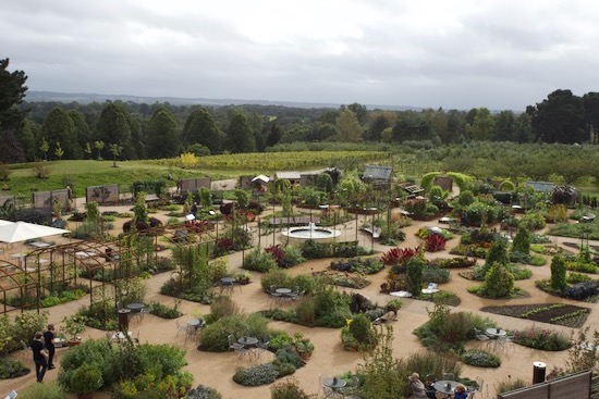 Rooftop view of Wisley edibles garden